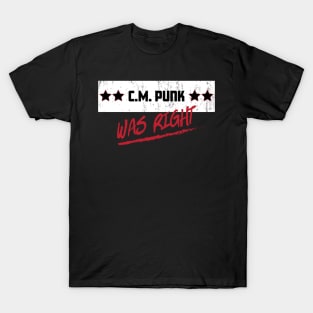 Punk was right T-Shirt